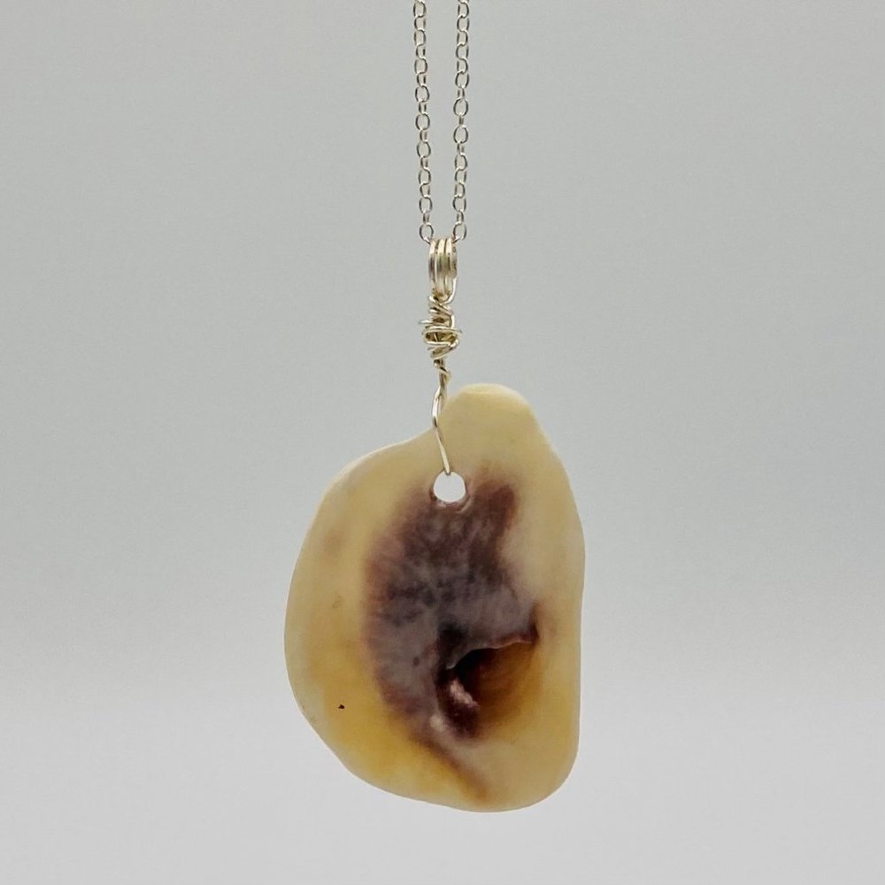 Shell Pendant on 24" Silver Chain Necklace; S24-68